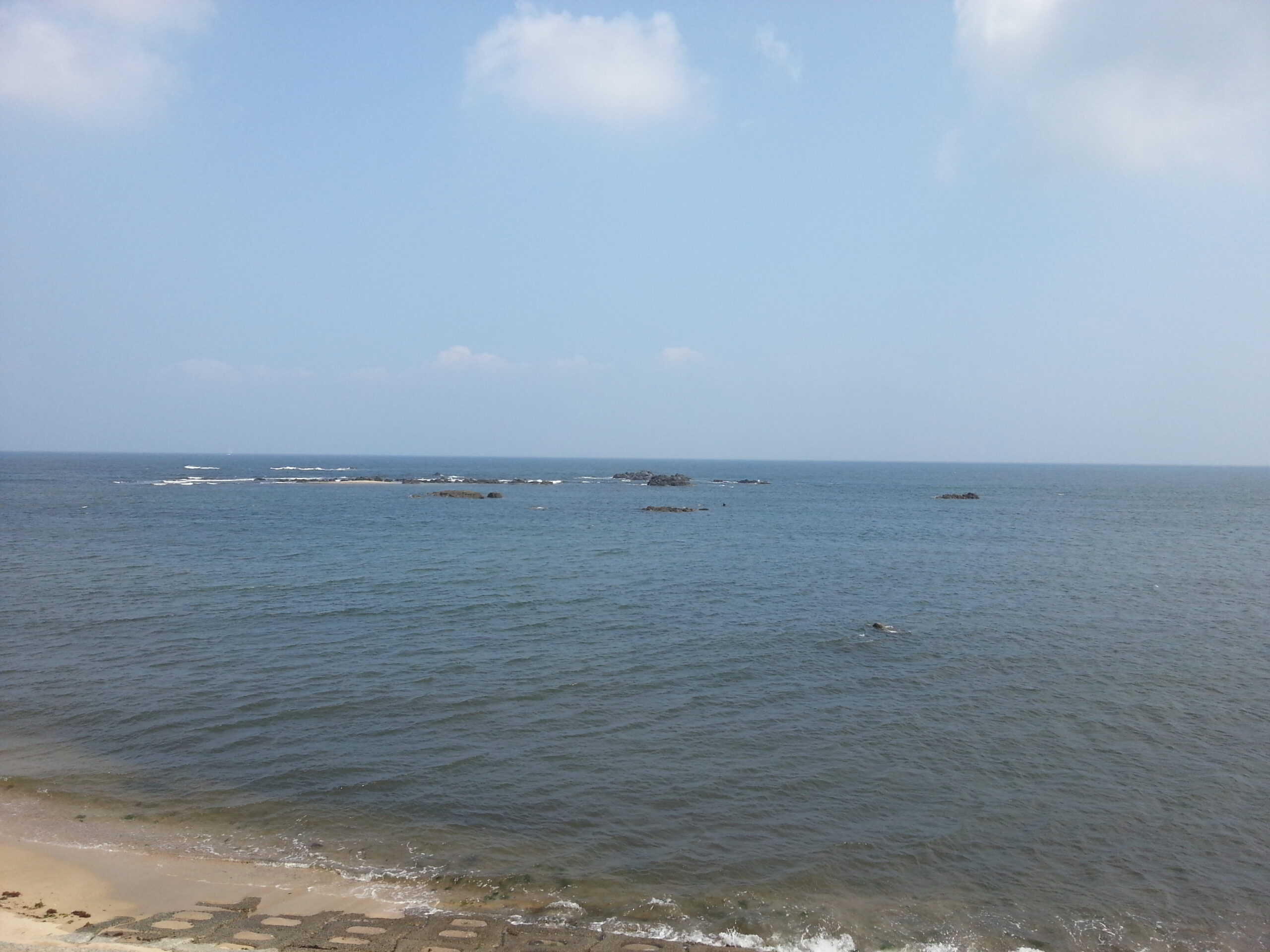 志賀島 勝馬海水浴場 — 松の木と砂浜